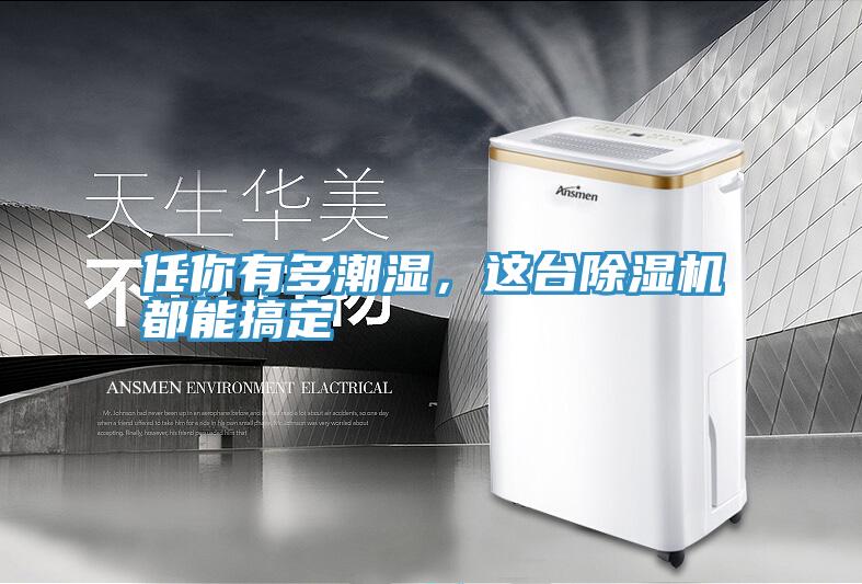 任你有多潮濕，這臺除濕機都能搞定