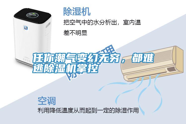 任你潮氣變幻無窮，都難逃除濕機掌控