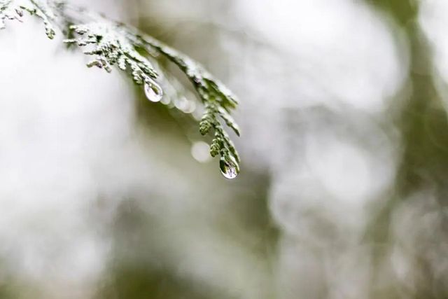 空氣濕度大帶來的危害有哪些，你知道嗎？