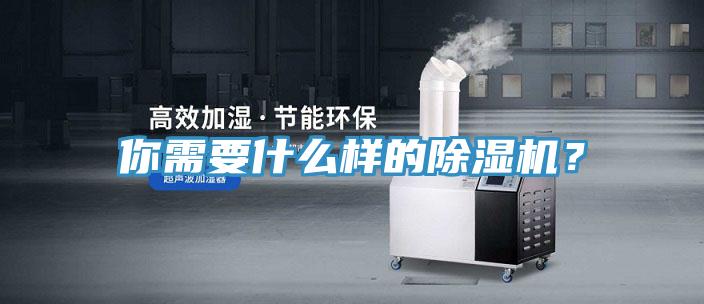 你需要什么樣的除濕機(jī)？
