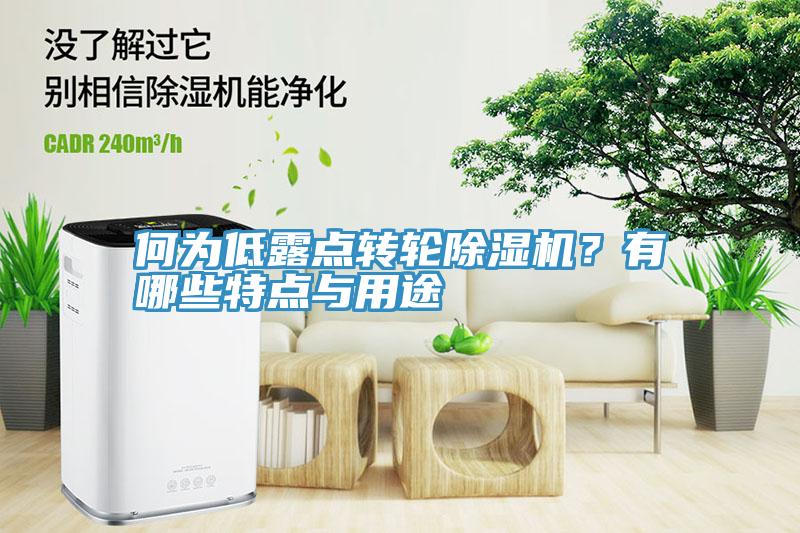 何為低露點轉(zhuǎn)輪除濕機？有哪些特點與用途