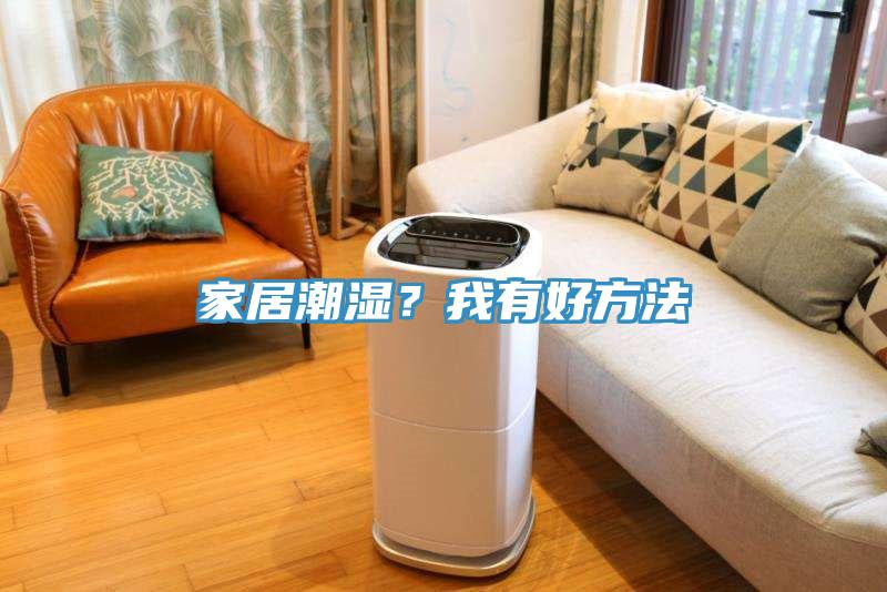 家居潮濕？我有好方法