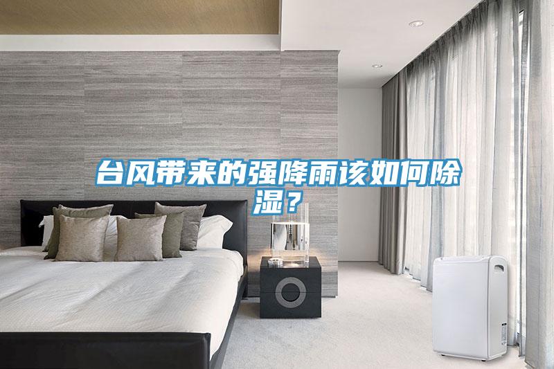 臺風(fēng)帶來的強降雨該如何除濕？