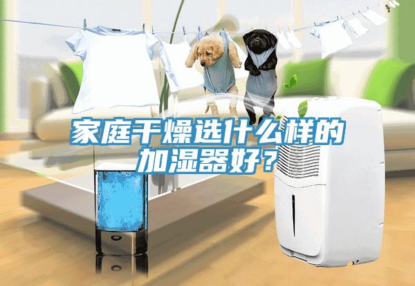 家庭干燥選什么樣的加濕器好？