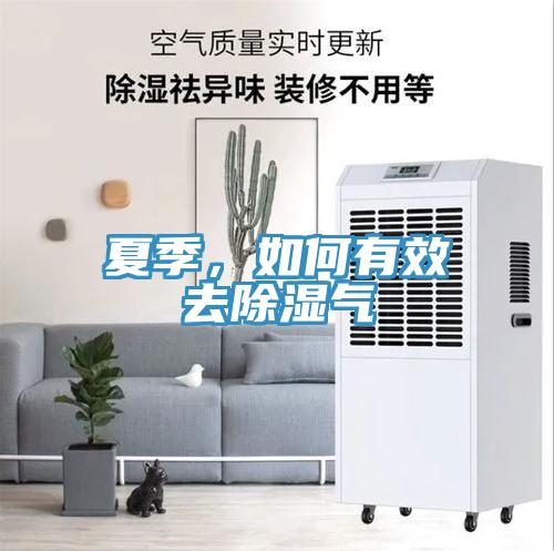 夏季，如何有效去除濕氣