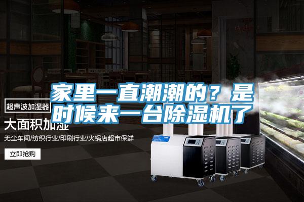 家里一直潮潮的？是時(shí)候來一臺(tái)除濕機(jī)了