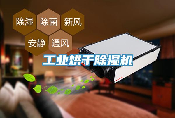 工業(yè)烘干除濕機(jī)