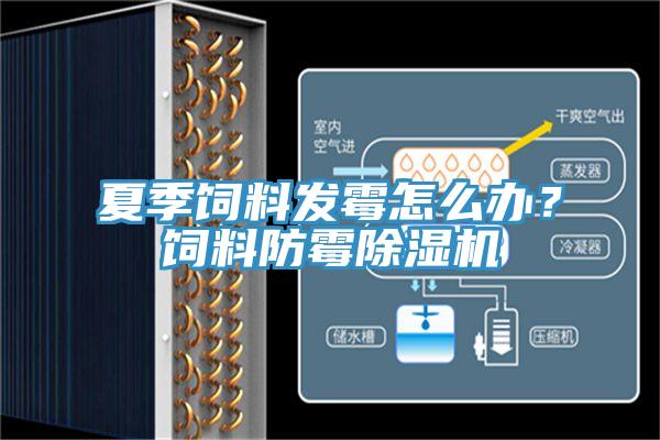 夏季飼料發(fā)霉怎么辦？飼料防霉除濕機(jī)