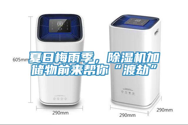 夏日梅雨季，除濕機(jī)加儲(chǔ)物前來幫你“渡劫”