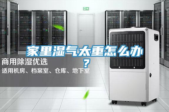 家里濕氣太重怎么辦？