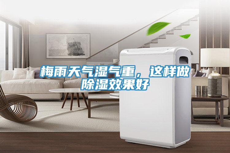 梅雨天氣濕氣重，這樣做除濕效果好