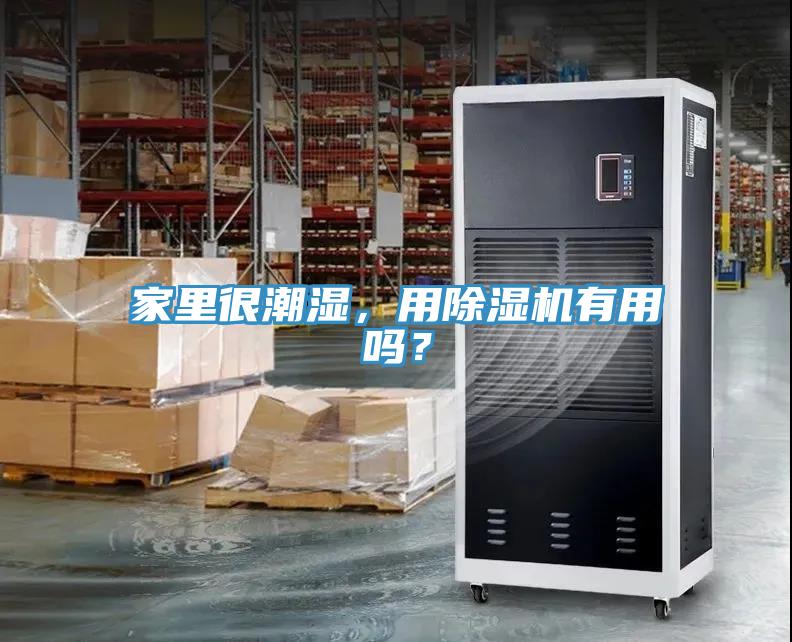 家里很潮濕，用除濕機(jī)有用嗎？