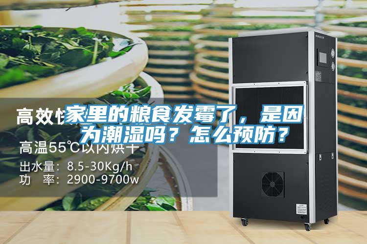 家里的糧食發(fā)霉了，是因?yàn)槌睗駟幔吭趺搭A(yù)防？