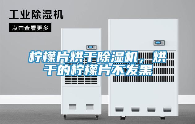 檸檬片烘干除濕機，烘干的檸檬片不發(fā)黑