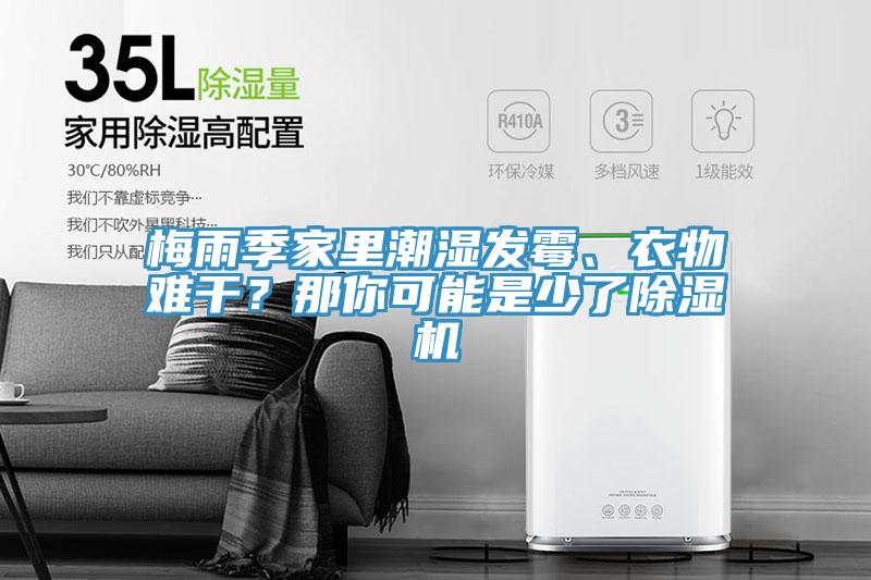梅雨季家里潮濕發(fā)霉、衣物難干？那你可能是少了除濕機(jī)