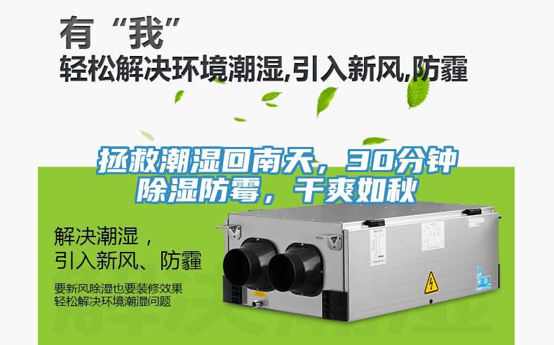 拯救潮濕回南天，30分鐘除濕防霉，干爽如秋