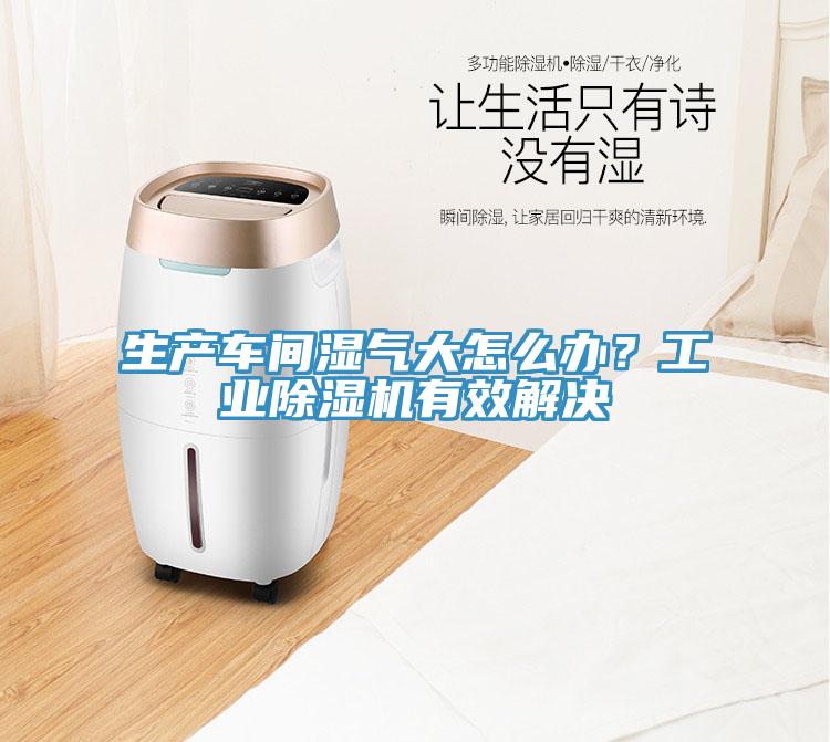 生產(chǎn)車間濕氣大怎么辦？工業(yè)除濕機(jī)有效解決