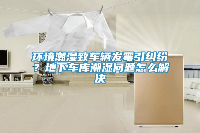環(huán)境潮濕致車輛發(fā)霉引糾紛？地下車庫潮濕問題怎么解決