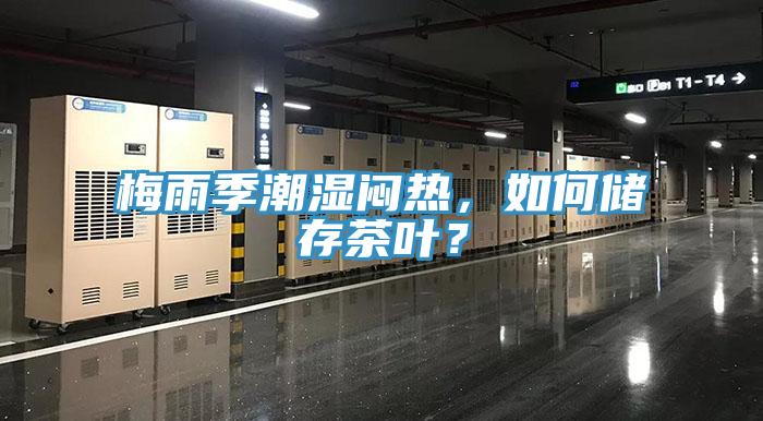 梅雨季潮濕悶熱，如何儲存茶葉？