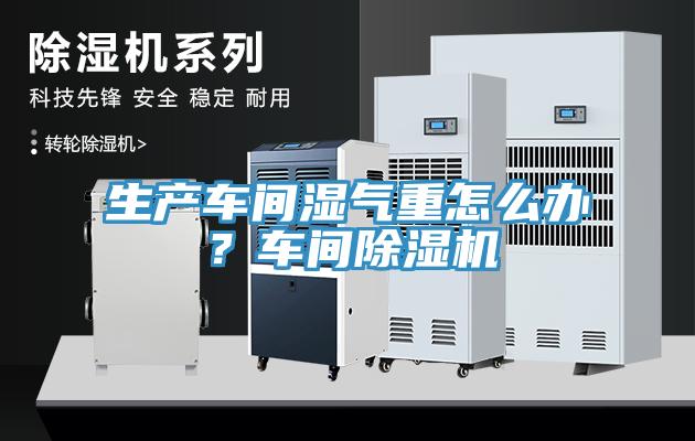 生產(chǎn)車間濕氣重怎么辦？車間除濕機(jī)