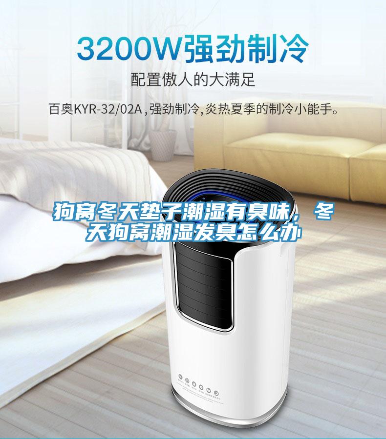 狗窩冬天墊子潮濕有臭味，冬天狗窩潮濕發(fā)臭怎么辦