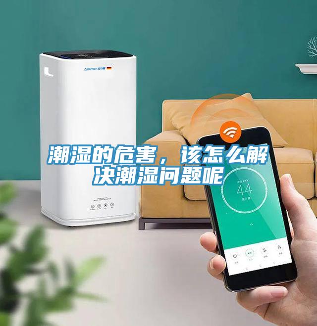 潮濕的危害，該怎么解決潮濕問題呢