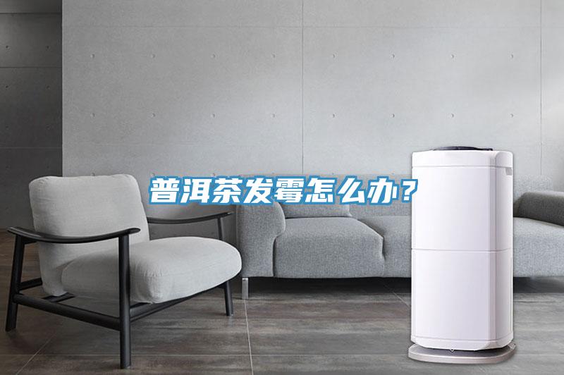 普洱茶發(fā)霉怎么辦?