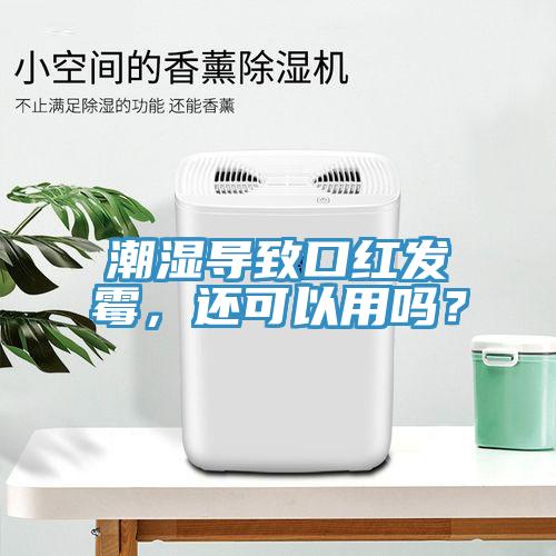 潮濕導(dǎo)致口紅發(fā)霉，還可以用嗎？