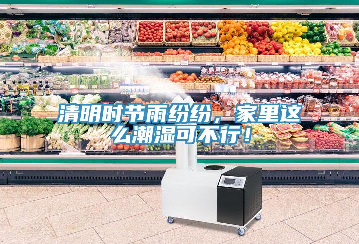 清明時(shí)節(jié)雨紛紛，家里這么潮濕可不行！