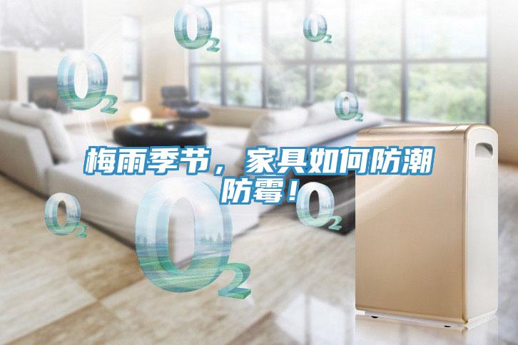 梅雨季節(jié)，家具如何防潮防霉！