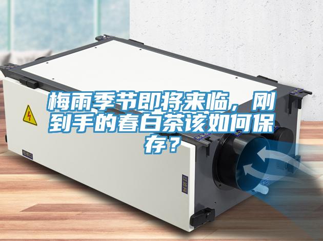梅雨季節(jié)即將來(lái)臨，剛到手的春白茶該如何保存？