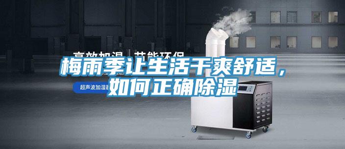 梅雨季讓生活干爽舒適，如何正確除濕