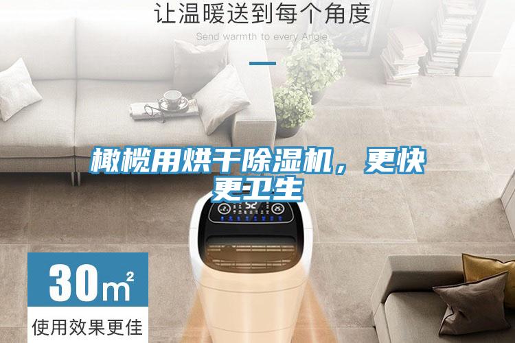 橄欖用烘干除濕機(jī)，更快更衛(wèi)生