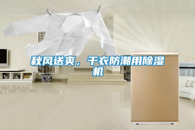 秋風送爽，干衣防潮用除濕機