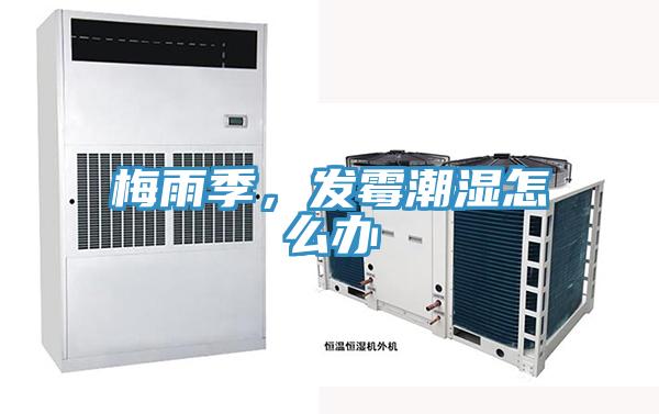 梅雨季，發(fā)霉潮濕怎么辦