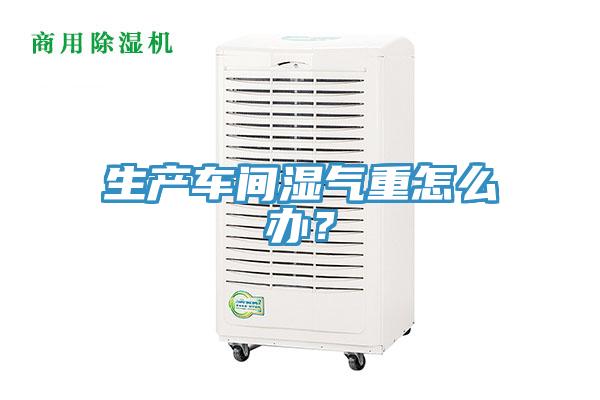 生產(chǎn)車間濕氣重怎么辦？