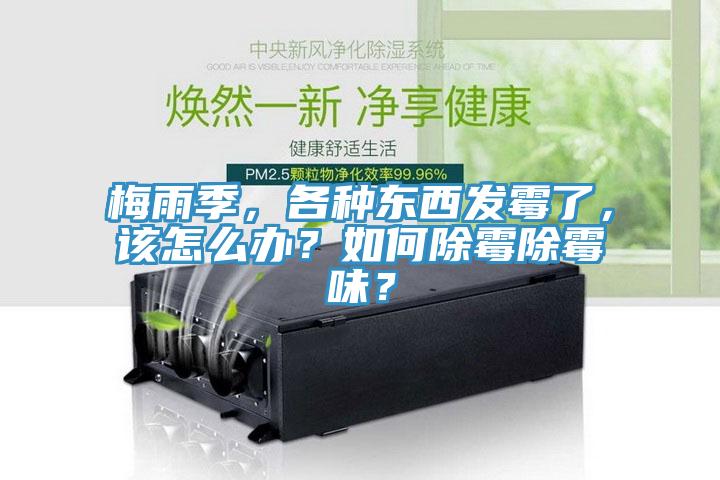 梅雨季，各種東西發(fā)霉了，該怎么辦？如何除霉除霉味？