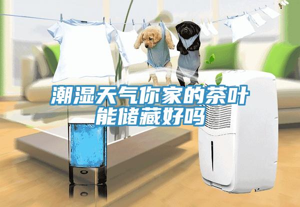 潮濕天氣你家的茶葉能儲(chǔ)藏好嗎