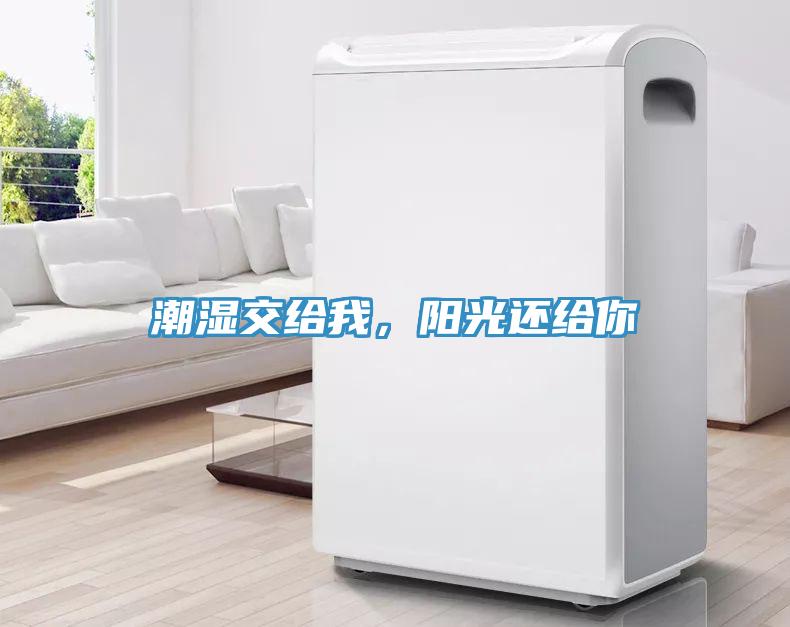 潮濕交給我，陽光還給你