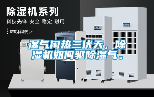 濕氣悶熱三伏天，除濕機(jī)如何驅(qū)除濕氣。