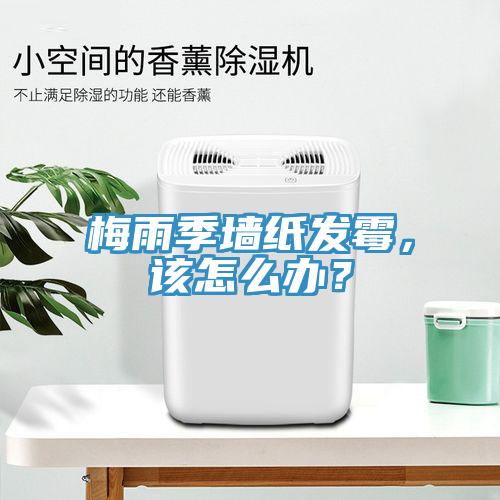 梅雨季墻紙發(fā)霉，該怎么辦？