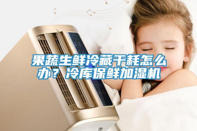 果蔬生鮮冷藏干耗怎么辦？冷庫保鮮加濕機