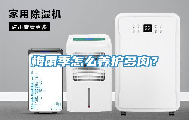 梅雨季怎么養(yǎng)護(hù)多肉？
