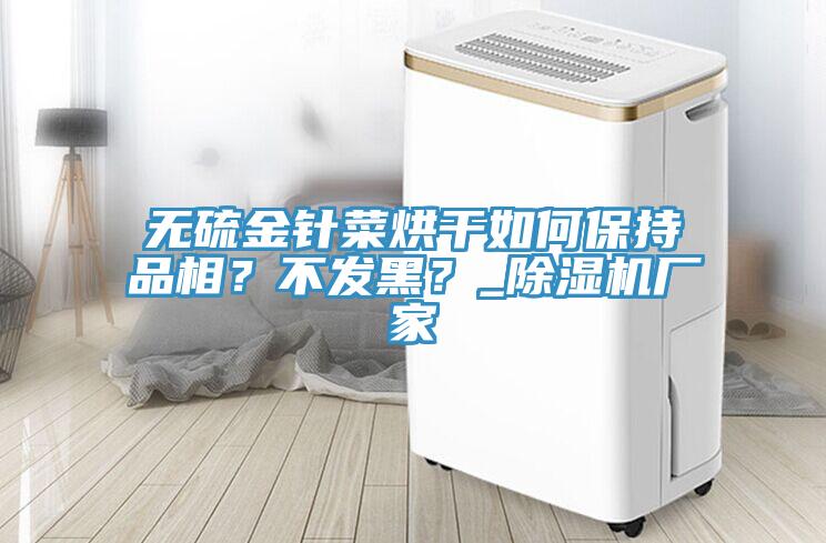 無硫金針菜烘干如何保持品相？不發(fā)黑？_除濕機(jī)廠家