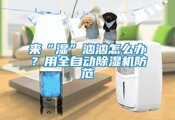 來“濕”洶洶怎么辦？用全自動除濕機防范