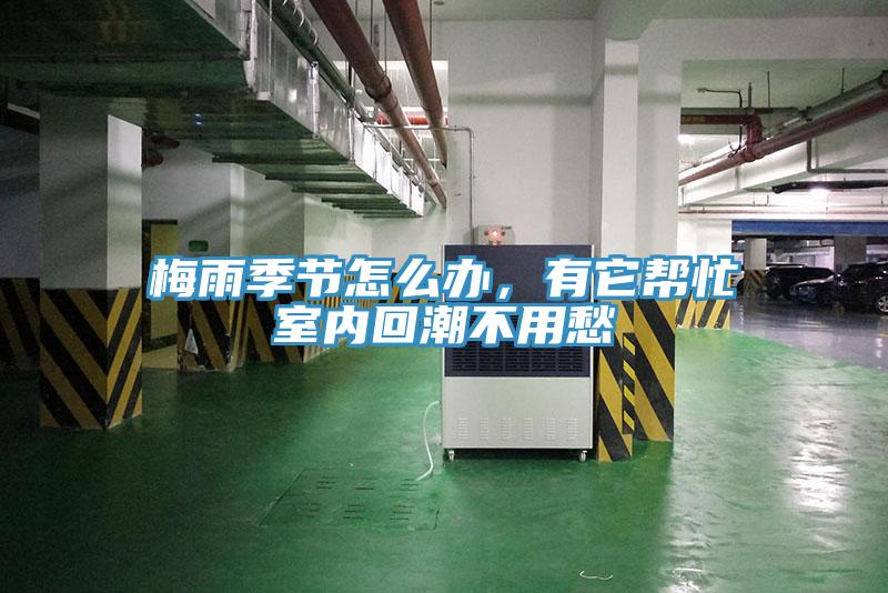 梅雨季節(jié)怎么辦，有它幫忙室內(nèi)回潮不用愁