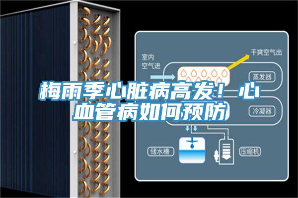 梅雨季心臟病高發(fā)！心血管病如何預(yù)防