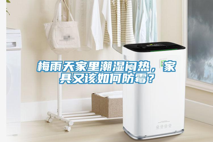 梅雨天家里潮濕悶熱，家具又該如何防霉？