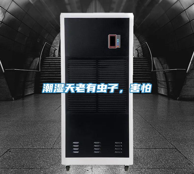 潮濕天老有蟲(chóng)子，害怕
