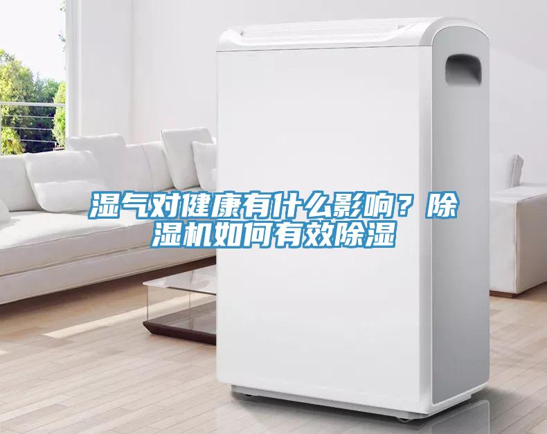 濕氣對(duì)健康有什么影響？除濕機(jī)如何有效除濕